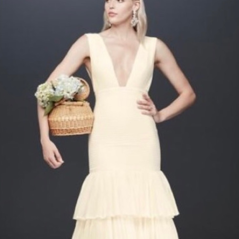 Fame and Partners X David’s Bridal Georgette Dress Size 2
